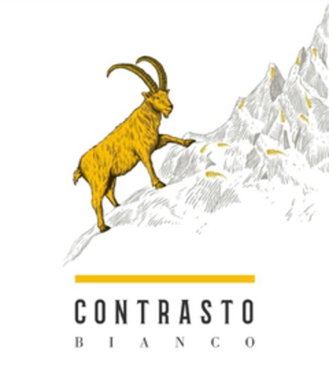 CONTRASTO BIANCO Logo (EUIPO, 16.04.2021)