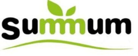 Summum Logo (EUIPO, 19.04.2023)