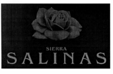 SIERRA SALINAS Logo (EUIPO, 30.05.2001)