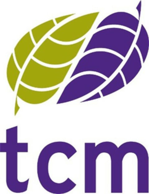 tcm Logo (EUIPO, 11/29/2006)