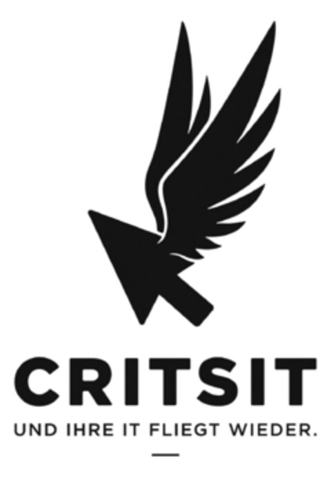 CRITSIT UND IHRE IT FLIEGT WIEDER Logo (EUIPO, 12/06/2018)