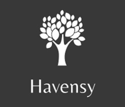 HAVENSY Logo (EUIPO, 03/05/2021)