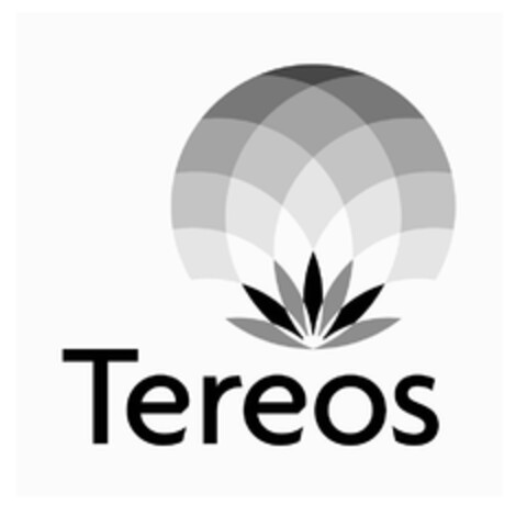 Tereos Logo (EUIPO, 07/18/2013)