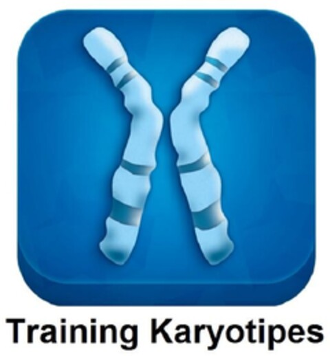 Training Karyotipes Logo (EUIPO, 20.09.2013)