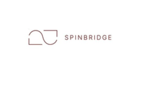 SPINBRIDGE Logo (EUIPO, 25.03.2024)