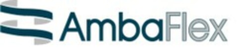 AmbaFlex Logo (EUIPO, 05.02.2003)
