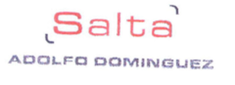 Salta ADOLFO DOMINGUEZ Logo (EUIPO, 02/25/2003)