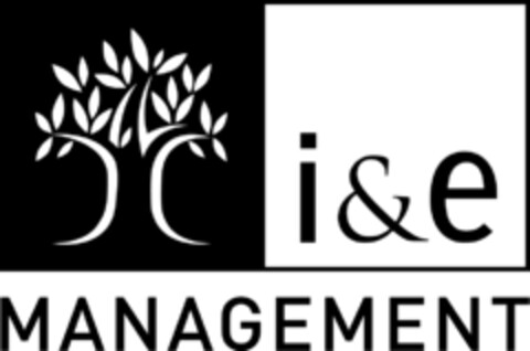 i&e MANAGEMENT Logo (EUIPO, 20.03.2007)