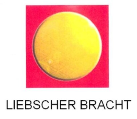 LIEBSCHER BRACHT Logo (EUIPO, 21.06.2010)