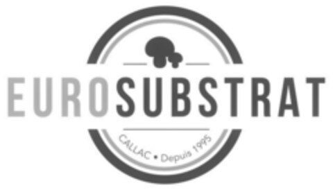 EUROSUBSTRAT CALLAC Depuis 1995 Logo (EUIPO, 11.06.2019)