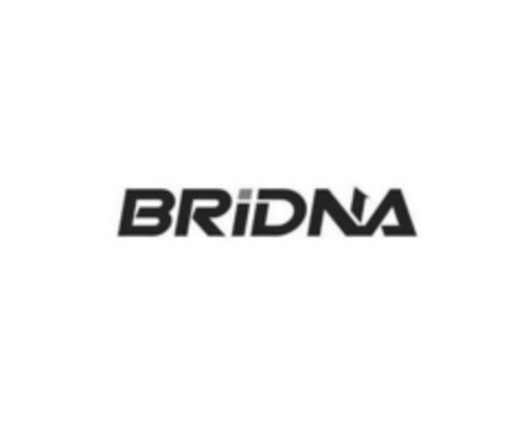 BRIDNA Logo (EUIPO, 23.02.2023)