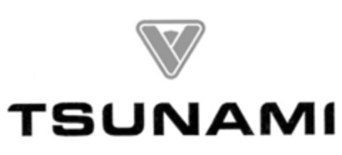 TSUNAMI Logo (EUIPO, 05/29/2008)