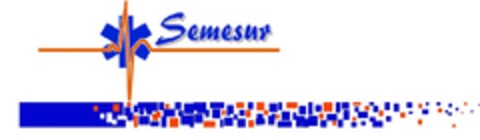 SEMESUR Logo (EUIPO, 01/26/2010)