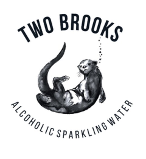 TWO BROOKS.  ALCOHOLIC SPARKLING WATER Logo (EUIPO, 17.06.2020)