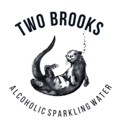 TWO BROOKS.  ALCOHOLIC SPARKLING WATER Logo (EUIPO, 06/17/2020)