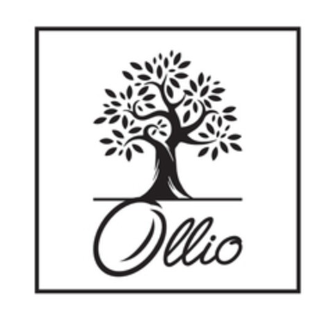 OLLIO Logo (EUIPO, 02.09.2020)