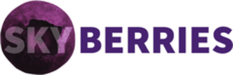SKYBERRIES Logo (EUIPO, 01.12.2020)