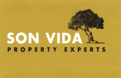 SON VIDA Logo (EUIPO, 28.08.2007)