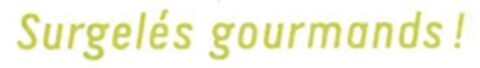 Surgelés gourmands ! Logo (EUIPO, 10/15/2007)