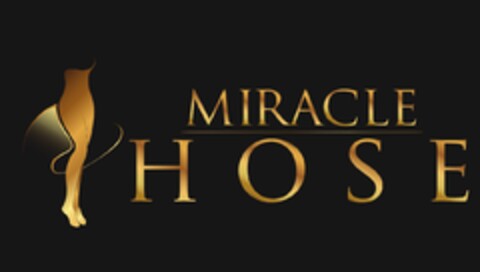 MIRACLE HOSE Logo (EUIPO, 18.10.2016)