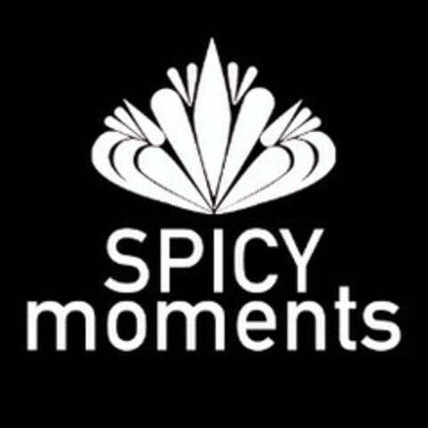 SPICY moments Logo (EUIPO, 12/29/2020)