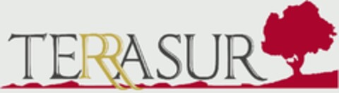 TERRASUR Logo (EUIPO, 05.06.2009)