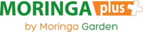 MORINGA PLUS BY MORINGA GARDEN Logo (EUIPO, 24.03.2014)