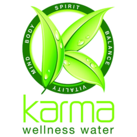 MIND BODY SPIRIT BALANCE VITALITY karma wellness water Logo (EUIPO, 02/12/2019)
