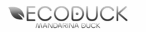 ECODUCK MANDARINA DUCK Logo (EUIPO, 04/22/2021)