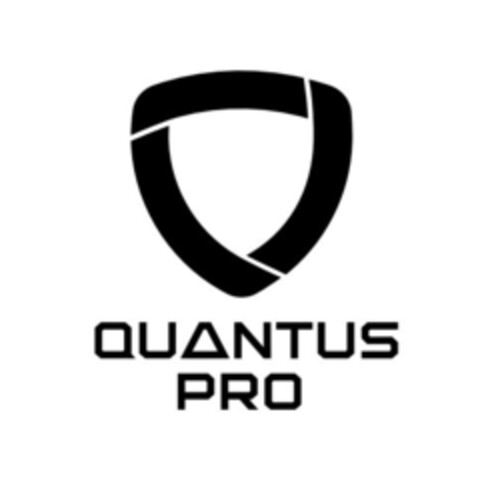 QUANTUS PRO Logo (EUIPO, 08.06.2022)