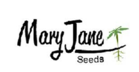 Mary Jane Seeds Logo (EUIPO, 29.04.2024)