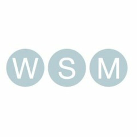 WSM Logo (EUIPO, 11.05.2007)