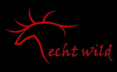 ECHT WILD Logo (EUIPO, 13.04.2012)