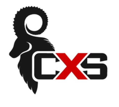 CXS Logo (EUIPO, 05/20/2015)