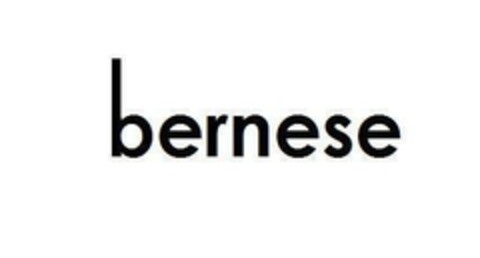 bernese Logo (EUIPO, 09.10.2017)