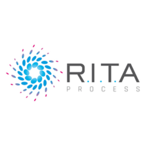 R.I.T.A PROCESS Logo (EUIPO, 12.01.2018)