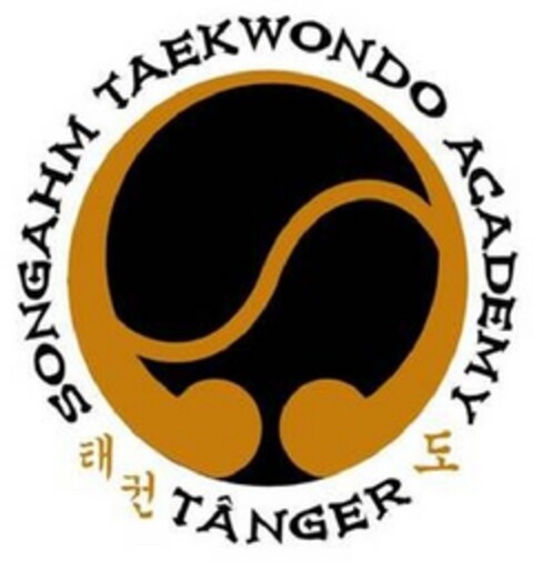 SONGAHM TAEKWONDO ACADEMY TÂNGER Logo (EUIPO, 03/23/2018)