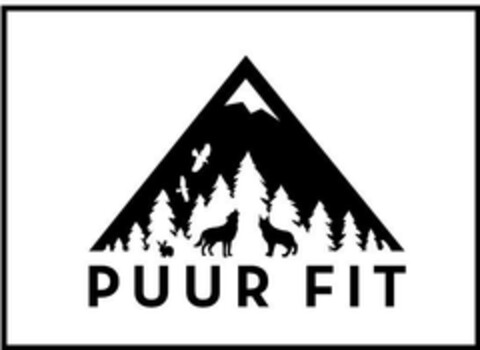 PUUR FIT Logo (EUIPO, 17.07.2023)