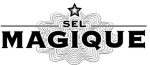 SEL MAGIQUE Logo (EUIPO, 14.10.2020)