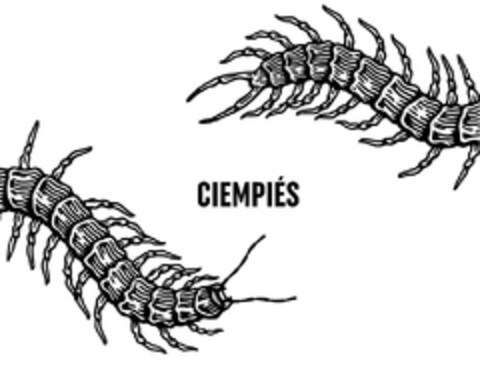 CIEMPIÉS Logo (EUIPO, 23.02.2023)
