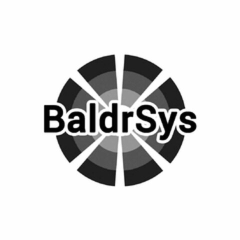 BaldrSys Logo (EUIPO, 08/24/2023)