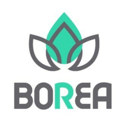 BOREA Logo (EUIPO, 04.06.2024)