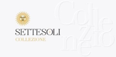 SETTESOLI COLLEZIONE Logo (EUIPO, 05.08.2019)