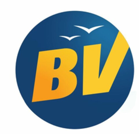 bv Logo (EUIPO, 28.05.2020)