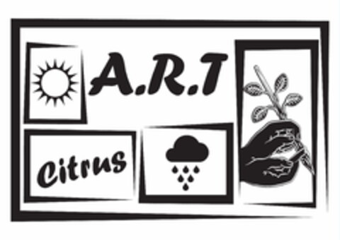 A.R.T Citrus Logo (EUIPO, 10.06.2020)