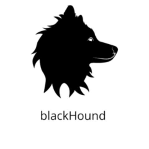 blackHound Logo (EUIPO, 09.02.2021)