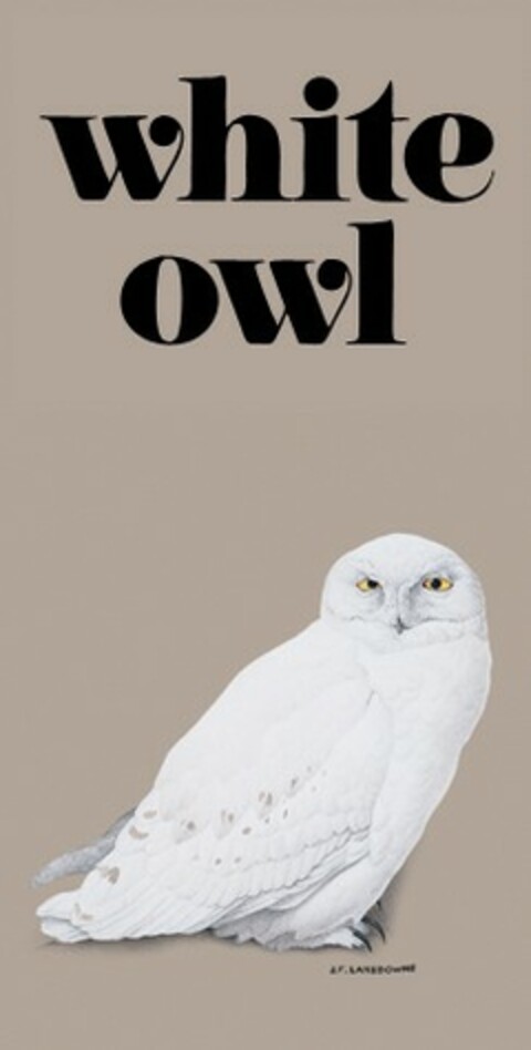 white owl Logo (EUIPO, 08.07.2004)