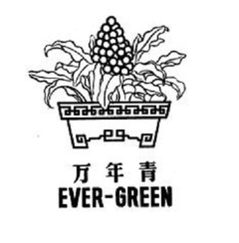 EVER-GREEN Logo (EUIPO, 26.02.2009)