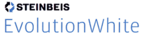 STEINBEIS Evolution White Logo (EUIPO, 03.04.2009)