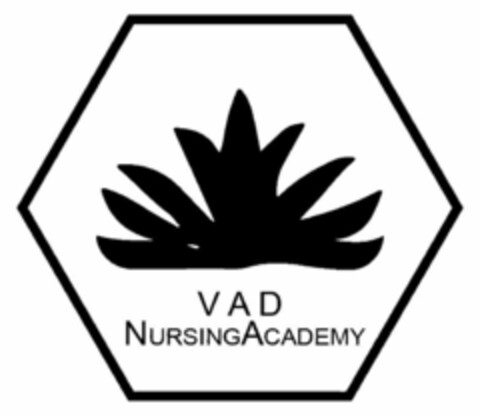 VAD NURSING ACADEMY Logo (EUIPO, 22.11.2018)